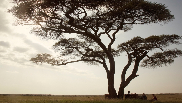 Nduara Loliondo - Picknick in der Serengeti